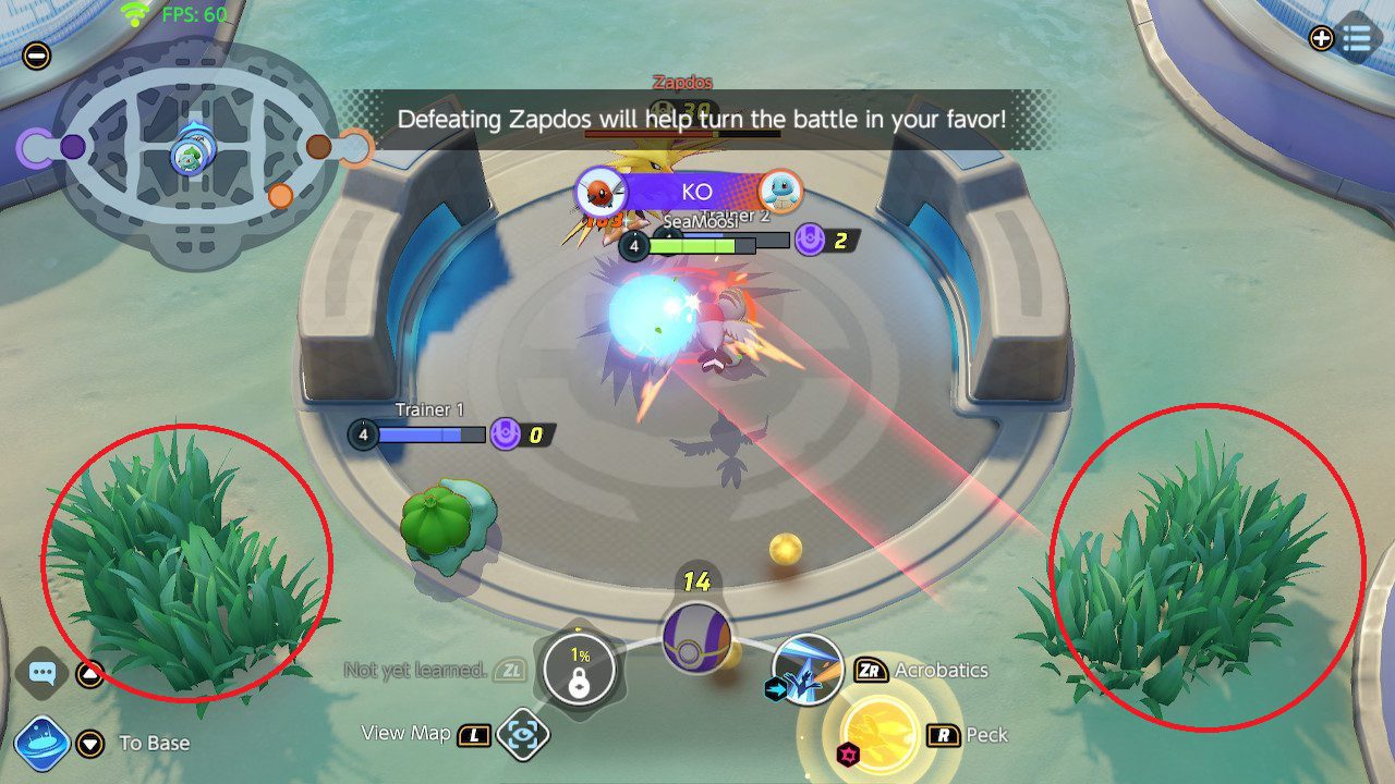 The bushes near Zapdos