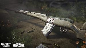 Nikita AVT loadout Warzone